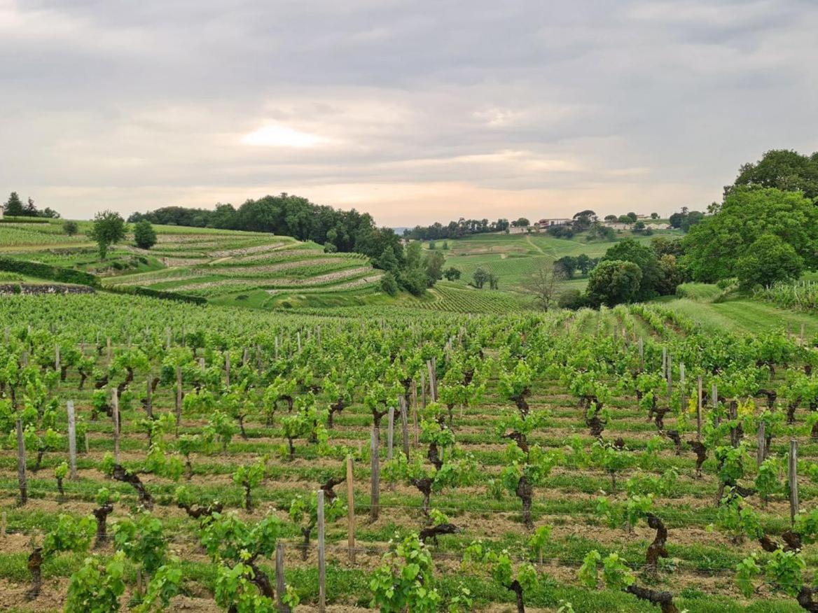ליבורן Maison Cosy Avec Vue Sur Les Vignes. מראה חיצוני תמונה