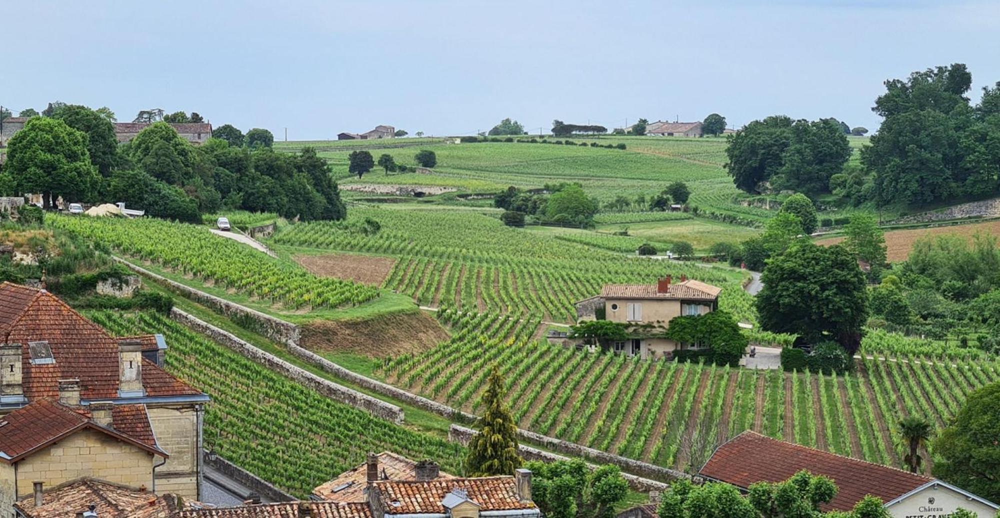 ליבורן Maison Cosy Avec Vue Sur Les Vignes. מראה חיצוני תמונה